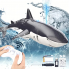 2.4G  with Water Spray Light Simulation Remote Control Shark Toy